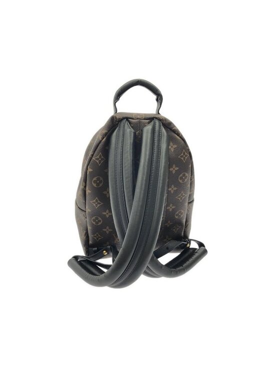 Louis Vuitton Monogram Palm Springs Backpack PM